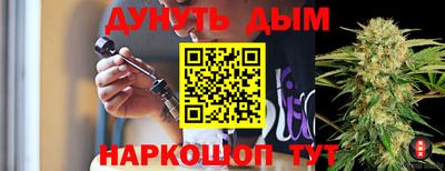 бошки Кингисепп