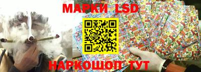 гашик Кимры