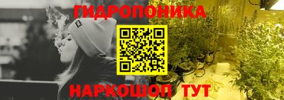 бошки Кингисепп