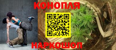 гашик Кимры