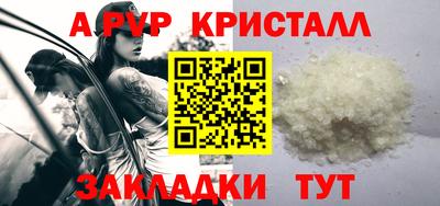 бошки Кингисепп
