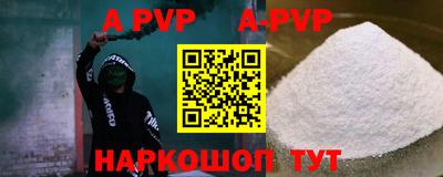 бошки Кингисепп