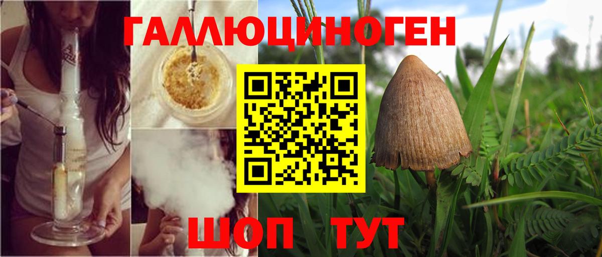 Галлюциногенные грибы прущие грибы Кореновск